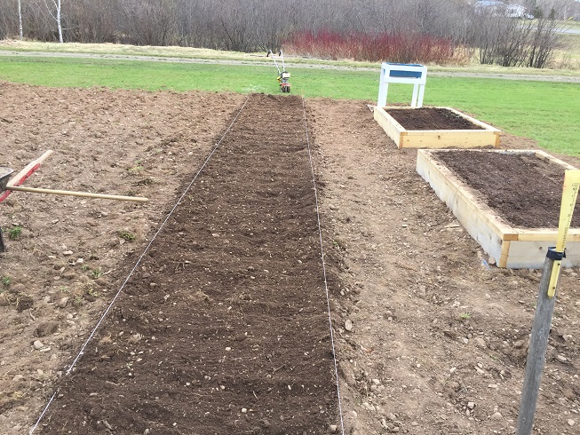 preparing vegetable beds