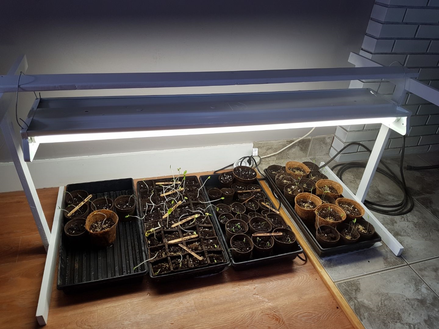 Old fluorescent light fixture