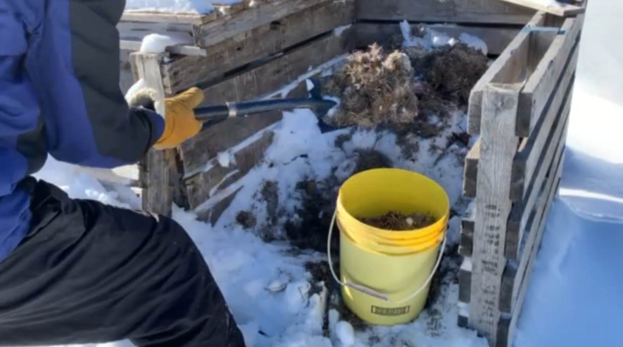 FrozenGrassClippings