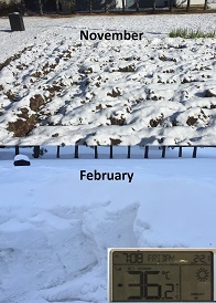 A snow comparison of November and February in Zone 3b A snow comparison of November and February in Zone 3b
