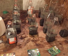 Preparing to take juice jugs outdoors