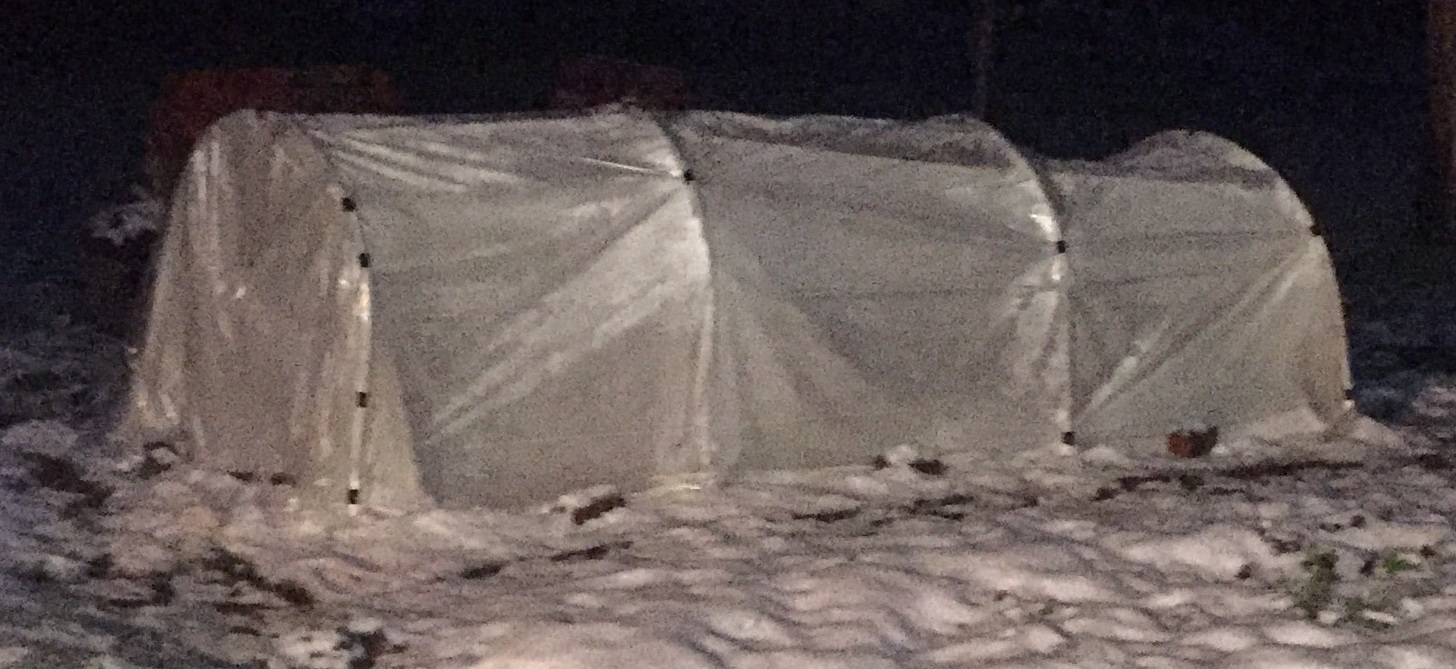 While true year round gardening outdoors in Zone 3 can be tough, many cold hardy vegetables can last well into winter in a simple cold frame or low tunnel.