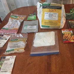 Buying seeds or seedlings carefully for your vegetable garden puts you well on the way to a successful garden