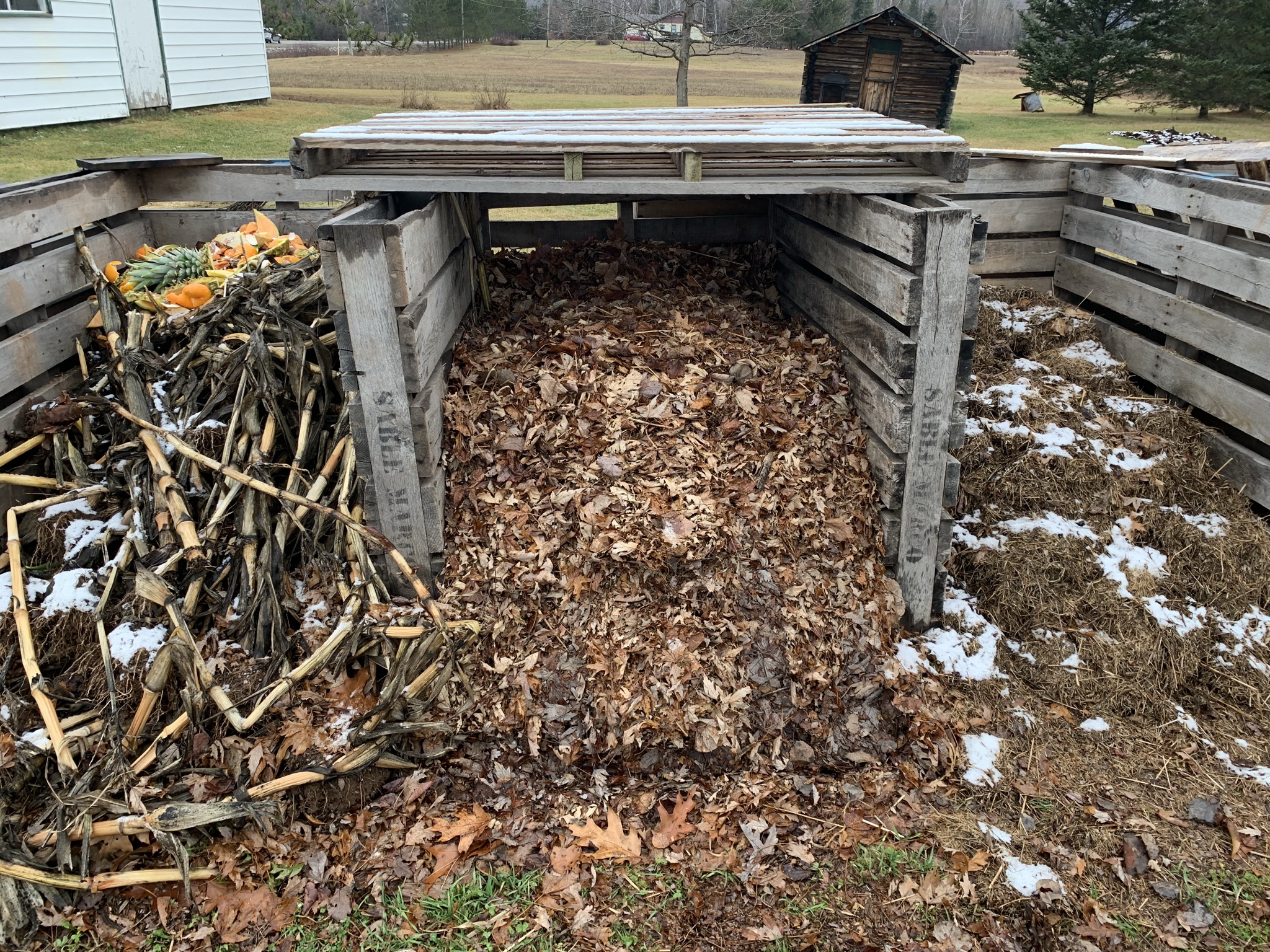 Shredded Leaves in Compost Bin