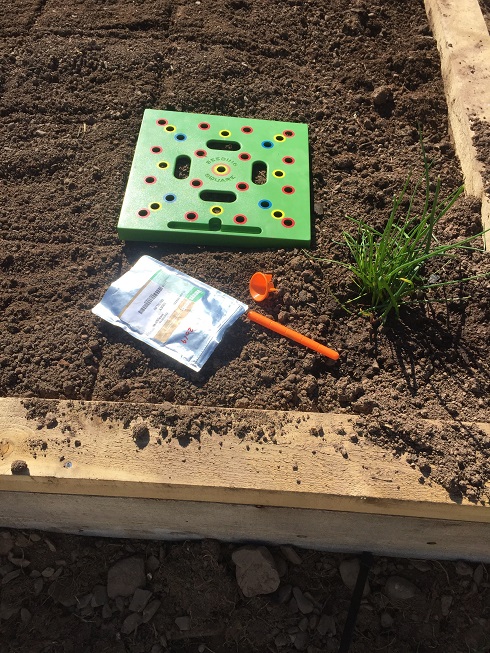 setting up for square foot gardening