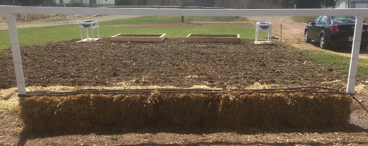 straw bale garden preparation