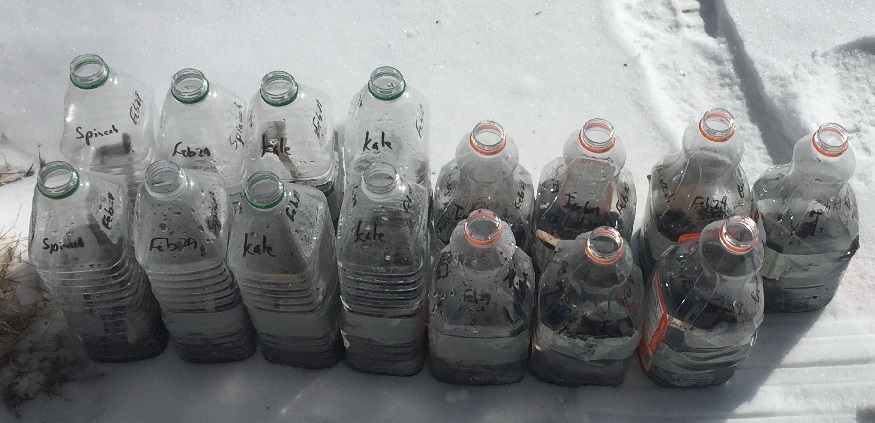 Fun alternative to starting seeds indoors—winter sowing your seeds outdoors in milk jugs and juice containers gives pre-hardened off seedlings for spring.